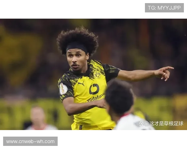 多特蒙德阿德耶米膝盖手术，赛季报销